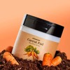 UnKnown Carrot Pad Toner Skin Pad Moisture Calming Ampoule 60