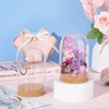 BENECREAT Glass Display Dome with Cork Base, 2 Sets, 11.8x8cm