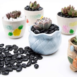 Black Small Pebbles - Decorative Gravel Rock Plant Stones,Natural Polished Stones 3/8" Succulent Gravel,Pebbles Gravel for Bamboo Plants,Succulent,Home Decor,Landscaping,Vase Fillers.1.5lbs