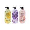 On the Body Super Botanic Body Wash (Lemon Lavender Rose) 900g, 3 units in total / 온더바디 수퍼보타닉 바디워시 (레몬 라벤더 로즈) 900g 총 3개