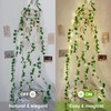 Pellimo Ivy Vine with Fairy Lights, 23 FT 73 LED