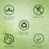 Biotique Wheat Germ Firming Face and Body Cream for Normal