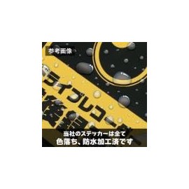 車 ステッカー シール 自動車 DOG IN CAR 犬 かわいい おしゃれ シンプル 耐候 防水 光沢 白 青 赤 正方形 100mm×100ｍｍ si36