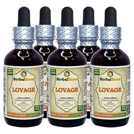 Lovage (Levisticum Officinale) Tincture, Organic Dried Leaves Liquid Extract (Brand Name: HerbalTerra, Proudly Made in USA) 5x2 fl.oz (5x60 ml)