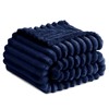 RUIKASI Fleece Throw Blanket for Sofa - Single Fluffy Navy