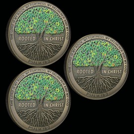 Moneda Rooted in Christ Challenge Embrace Faith and Strength Christian Pocket Token Bible Verse Worry Coin para la oración (paquete de 3)