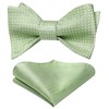 HISDERN Mens Sage Green Bowtie and Handkerchief Polka Dot Bow