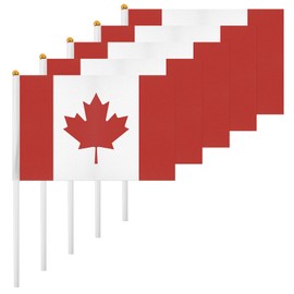 ASUNO Pack of 20 Mini Hand Hold Flag 14 × 21 cm Mini Canada Canadian Stick Flag Polyester for Football Club Party Decorations International Festivals Indoor and Outdoor