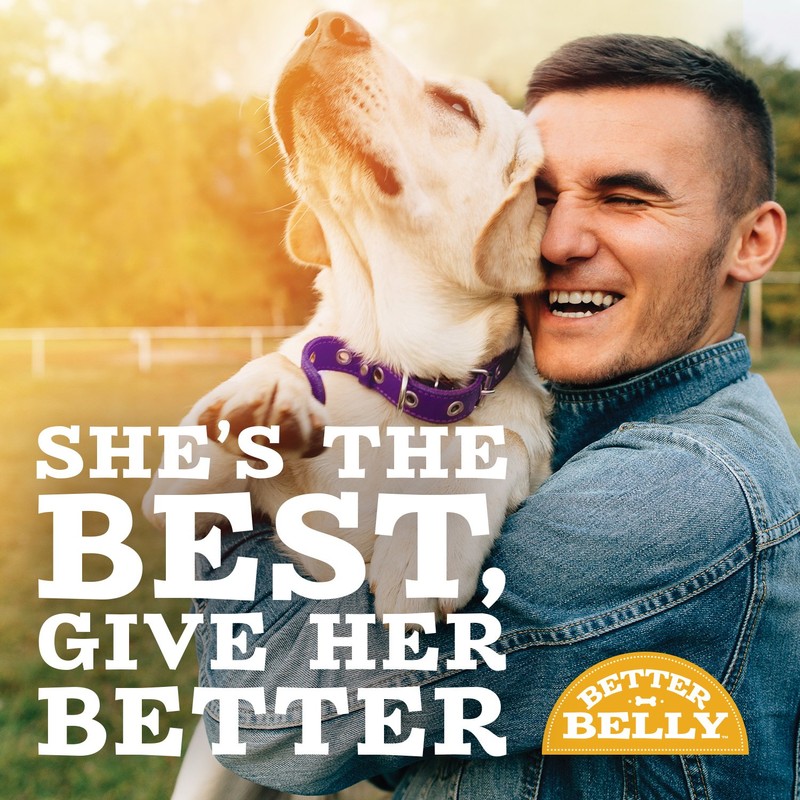 Better Belly dogs Dn-20035 Large Rolls (3 Pack), Any