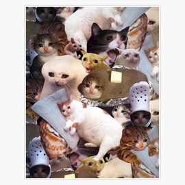 Leyland Designs Crying Cat Memes Sticker Outdoor Rated Vinyl Sticker Decal for Windows, Bumpers, Laptops or Crafts 5"