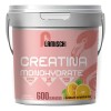 Creatina Monohidratada Flamish 3kg 600 Servicios Sabores