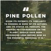 Surthrival: Pine Pollen Pure Potency Extract (1.69 fl oz), Increased