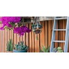 Macetero Colgante para Plantas – macetero de macramé Mariarts -