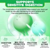 Probiotics for Dogs - Digestive Health and Immune Support, Dog
