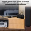 WIYETY Phono Preamp Turntable PP500 Phono Preamp, Electronic Audio Stereo