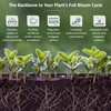DYNOMYCO Spark 3 in 1 Mycorrhizal Inoculant Root Enhancer Powder