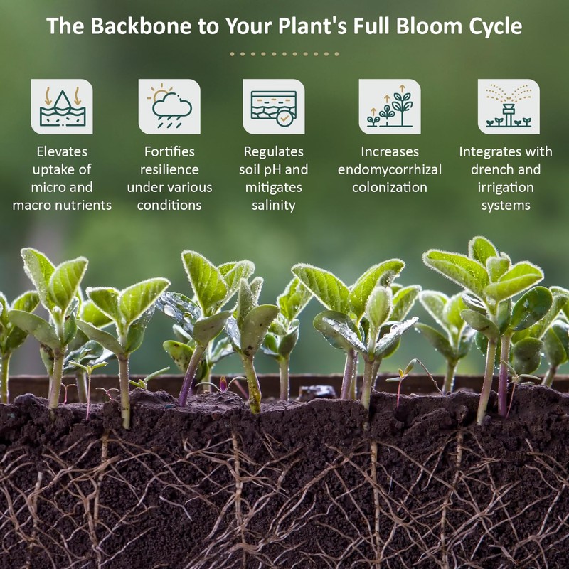 DYNOMYCO Spark 3 in 1 Mycorrhizal Inoculant Root Enhancer Powder