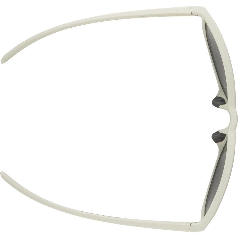 ALPINA Unisex Nacan Ii P Sunglasses, Smoke-grey matt, Unit size