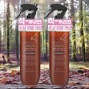 LAIP Natural Hair Nutrition Hair Shine R2 No-Wash Treatment Ocean Blue 2pcs 250ml / 라입 자연유래 모발영양 모발윤기 R2 노워시 트리트먼트 오션블루 2개 250ml