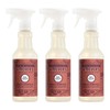 Mrs. MEYER'S CLEAN DAY Multi-Surface Everyday Cleaner, Fall Leaves Scent,