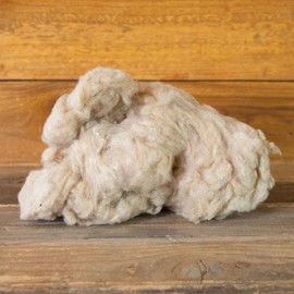 Sea Island Brown Cotton 10 Seeds - Heirloom, Non-GMO, Premium Quality, Heirloom Cotton for Organic Gardening, Crafting, and Textile Production, Ideal for Warm Climates, 100% Natural Cotton Variety