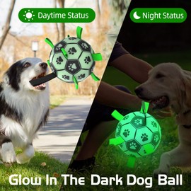 QDAN Premium Dog Ball, Glow in The Dark Dog Toys, Light Up Soccer Ball for Dogs, Outdoor Dog Toys, Doggy Water Toy, Puppy Birthday Gifts for Small Medium (6 Inch)