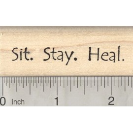 RubberHedgehog Sit Stay Heal Rubber Stamp, Get Well Series, Dog Saying D28717 WM