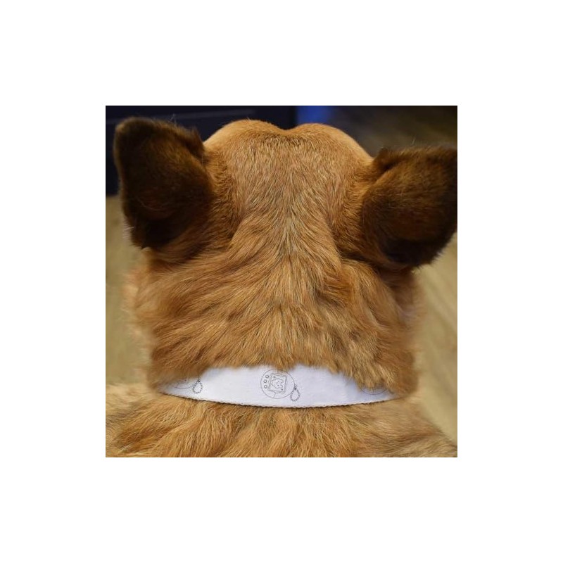 Small 'Electronic Pet' Dog Collar (PR00065921)