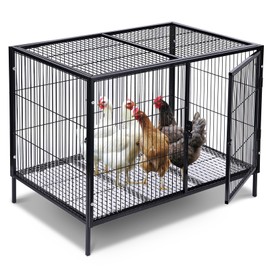 MUDUOBAN Small Chicken Coop with 4-6 Chickens,Outdoor,Predator Proof, Metal