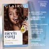 Clairol Nice'n Easy Permanent Hair Dye, 5CB Medium Warm Chestnut