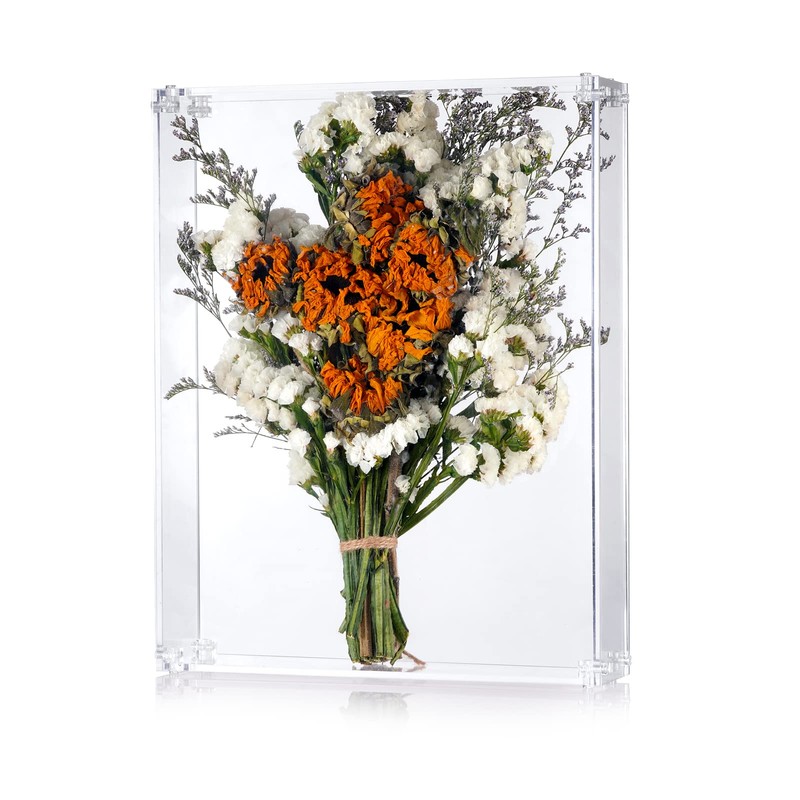 MarccTipton 11x14 Acrylic Shadow Box, Assemble Display Case, DIY Tabletop/Wall