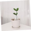 Operitacx 10 pcs Transparent Plant Covers Bell Shaped Protective Cloches