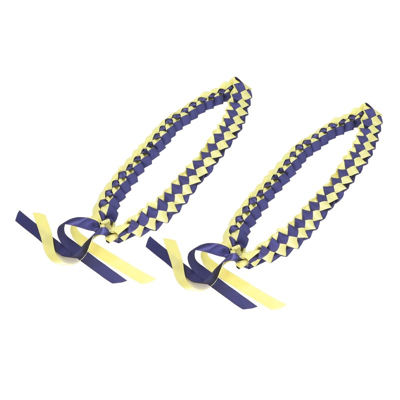 2Pcs Ribbon Leis Double Braided Necklace Graduation Congrats Accessory for