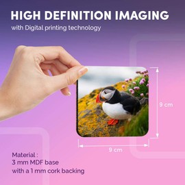 Destination Vinyl ltd Great Coasters (Set of 4) Square - Atlantic Puffin Bird Drink Glossy Coasters/Tabletop Protection for Any Table Type #21164