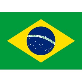 Premium Flag – 90 x 150 cm / 150 cm 90 cm – Made of Polyester with Golden Eyelets – Durable and Weatherproof (Brazil)