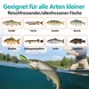 Angeln Köder Set mit Köderbox für Hecht,Zander,Forelle,Barsch,Angelzubehör - Gemischt Kunstköder,Gummifische,Spinner,VIB,Oberflächenköder,Popper,jigheads