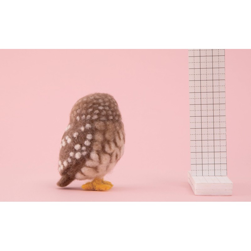 Hamanaka Felt Wool Kit, Needle Felt, Making Animals, Coquinme Owls