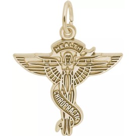 Rembrandt Gold-Plated Sterling Silver Chiropractic Caduceus Charm by Rembrandt