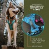 Wilderdog Lightweight Dog Harness with Reflective Straps - Small -