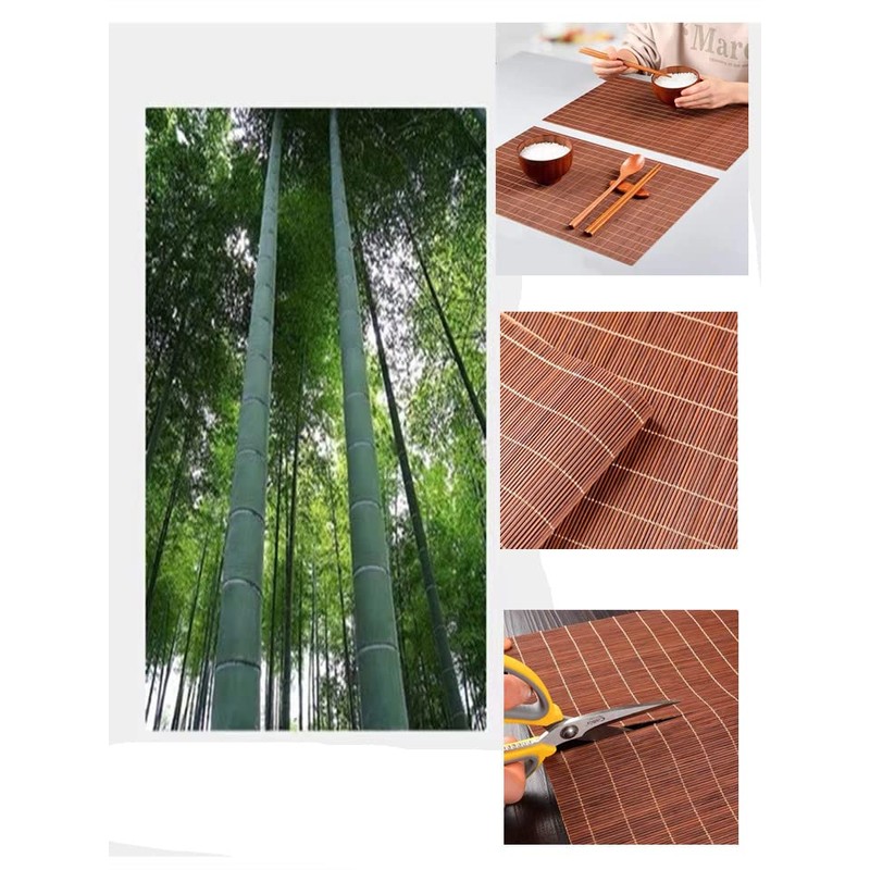 Mysummer 2PCS Placemats for Dining Table Placemats Heat Insulation Stain-Resistant