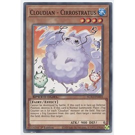 Cloudian - Cirrostratus - SGX3-ENH05 - Common - 1st Edition