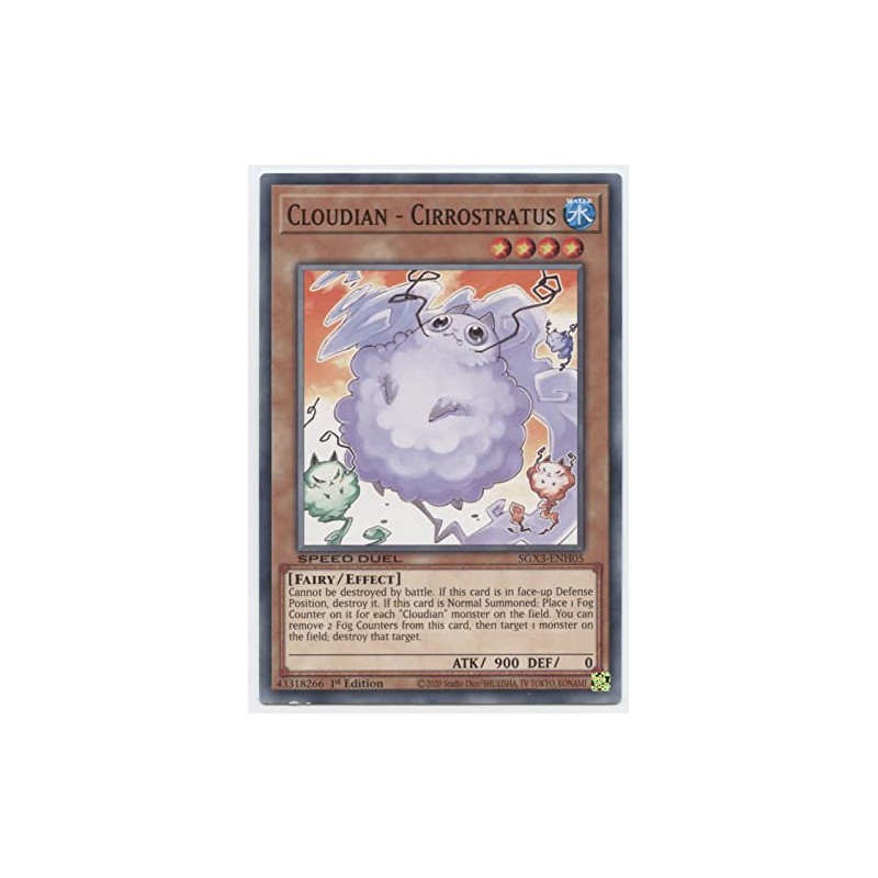 Cloudian - Cirrostratus - SGX3-ENH05 - Common - 1st Edition