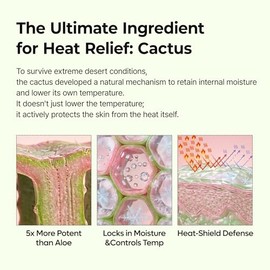 Dr.Melaxin Cactox - Bálsamo múltiple para alivio de poros – Zinc PCA y ADENOSINA Bálsamo facial refrescante y deshinchante para poros agrandados y piel hinchada, minimización de poros con extracto de cactus, cuidado de la piel coreano, 0.88 onzas