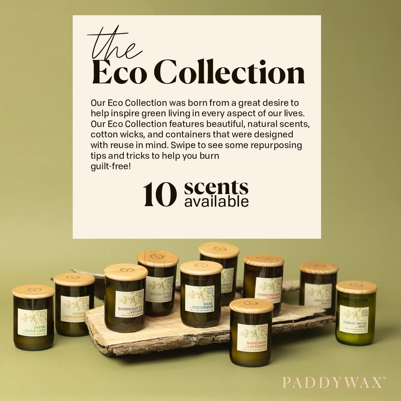Paddywax Eco Collection Scented Soy Wax Candle in Glass Jar,