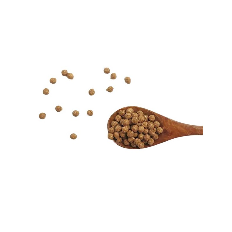 Hello Green 헬로우그린 국산 유근피환 300g(통) 국내산 왕느릅나무뿌리껍질 95% 함유!