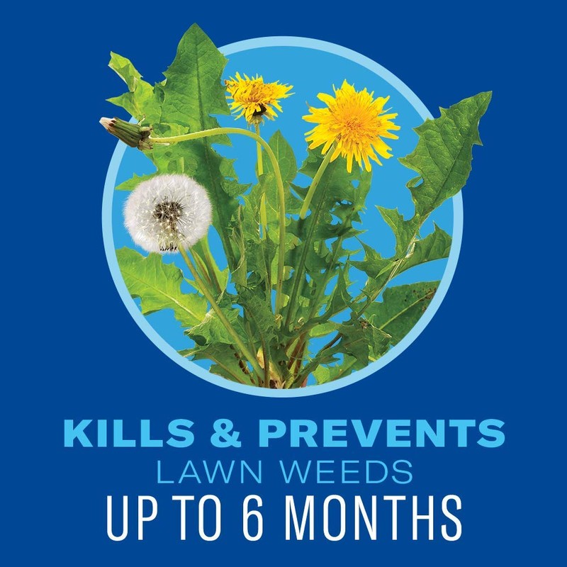 BioAdvanced 5 In 1 Weed and Feed, Granules, 24LB