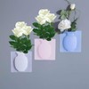 3 Pack Silicone Sticky Flower Pot Vases - Removable Self-Adhesive