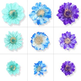 Neiang Dried Flowers for Resin 400 Pcs Pressed Flowers Dried Sheet Resin Dried Flowers Dried Flowers Flower Material Hologram Parts Blue + Purple