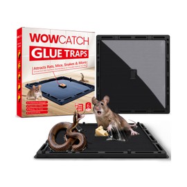 WowCatch Jumbo Rat & Mouse Glue Traps - 6 Pack Large Heavy Duty Sticky Traps Indoor for Home, Extra Strong Adhesive Plastic Tray for Snakes, Non-Toxic Pest Control for House & Garage, Large Size