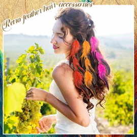 Geyoga 12 Pcs Feather Hair Clip Boho Hair Extensions with Feather Clip Comb Hippie DIY Accessories Hairpin Tribal Feather Braided Beads Headdress for Women (Multicolor)